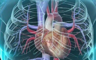 COVID-19 Vaccination & Cardiovascular Events: Meta-Analysis