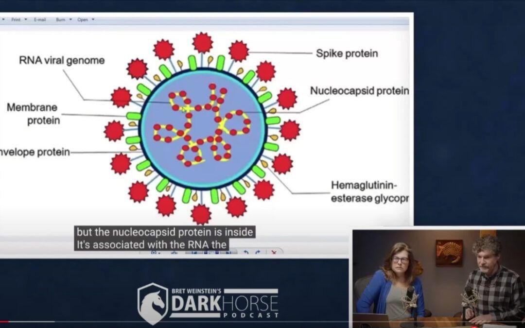 Spike Protein from Vaccine found in Brain